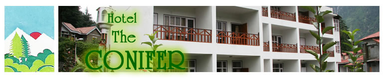 Hotel The Conifer